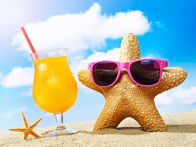 estrella de mar
