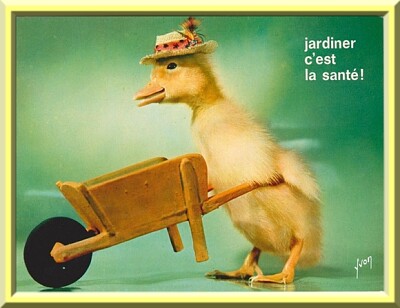 Saturnin