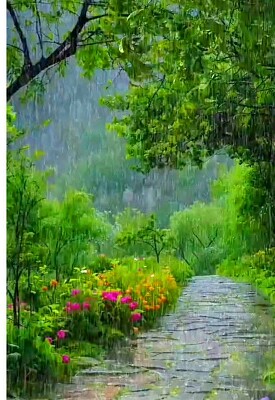 lluvia