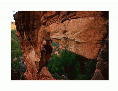 Hanging In There - Sedona Arizona