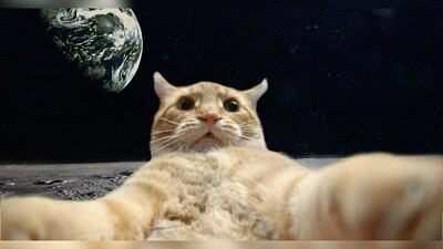 Gato en el espacio