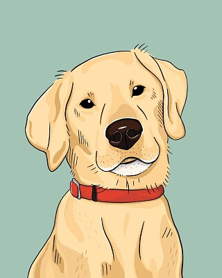 chien
