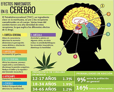 feria de la salud