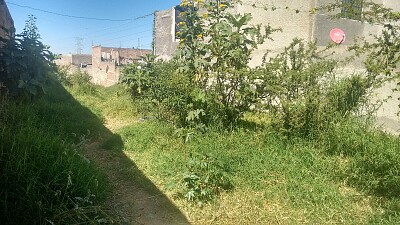 terreno