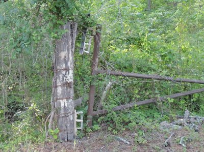 פאזל של Old Gate Post