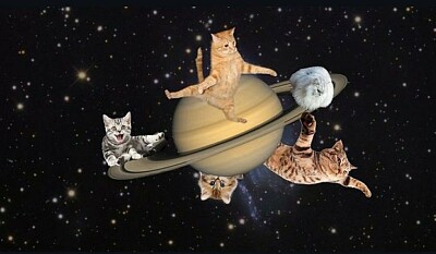 Gatos en saturno