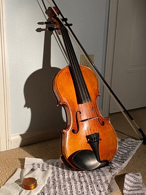 Violin
