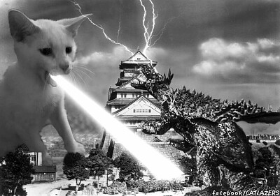 Gato vs Godzilla 2