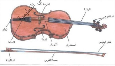 اجزاء الة الكمان