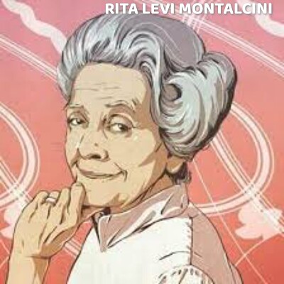 rita levi