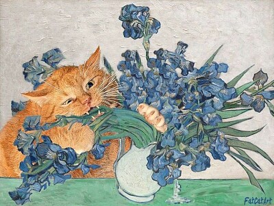 Gato comiendo flores