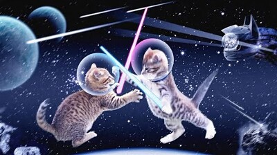 Gatos pelando en el espacio
