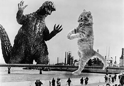 Gato vs Godzilla 3