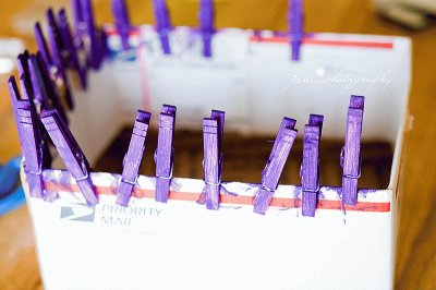 Painted Clothespins
