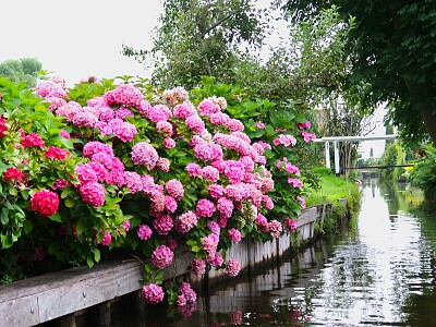 Giethoorn, Holland