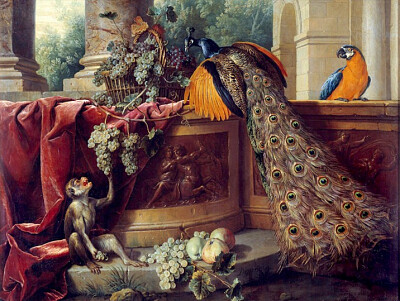 Desportes paon et singe 1714