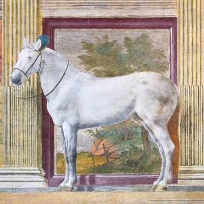CAVALLO DARIO