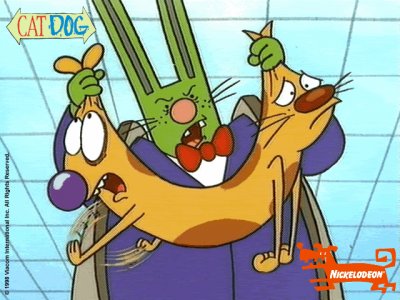 catdog jigsaw puzzle