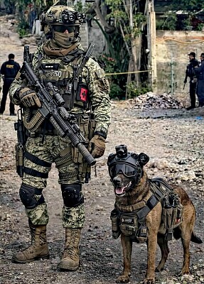 K-9