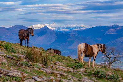 Le Mont Jara Pays basque