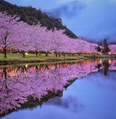Japón