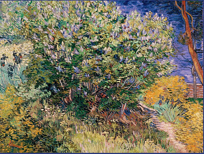Van Gogh lilas