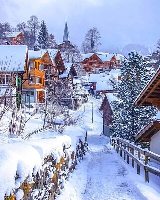 Nieve en Wengen-Suiza