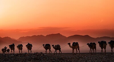 עם אפשר שהפזאל היה 12 חלקים