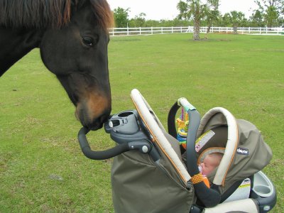 Jaclyn with horse jigsaw puzzle