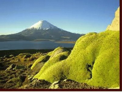 Lago Chungara jigsaw puzzle