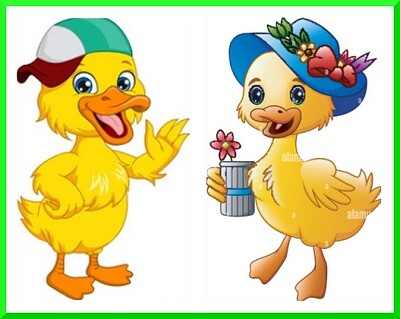 Canards au printemps