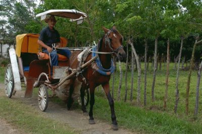 CAMPO jigsaw puzzle