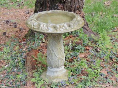 Bird Bath jigsaw puzzle