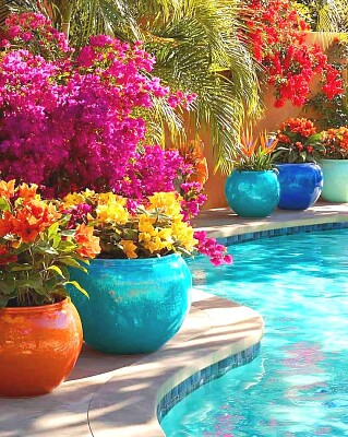 flores