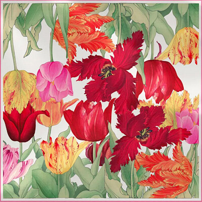 Tulipes japonaises