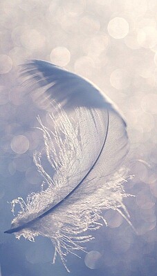  s: pin.it/5jSHGqcrl