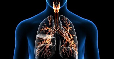 sistema respiratorio II