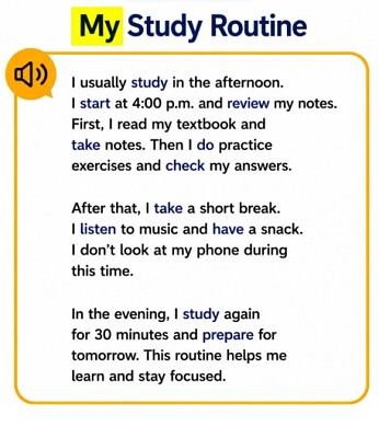 My Study Routine