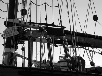 barco vela. Cangas. Galiza