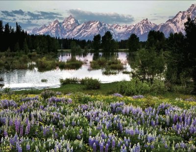 Grand Tetons - Wyoming