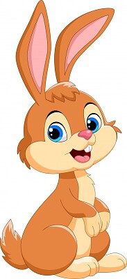 Conejo