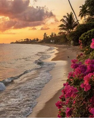 Naturaleza