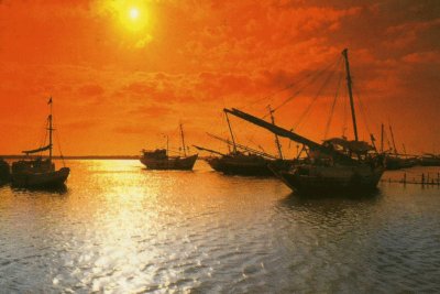 Posta de sol jigsaw puzzle