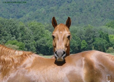 Good Headrest jigsaw puzzle