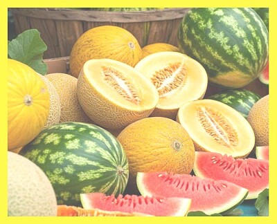 Melons et pastèques