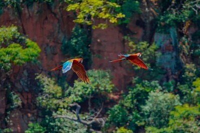 Nature