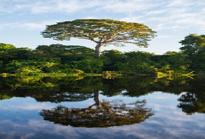 Nature