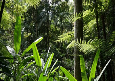 Nature
