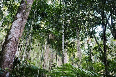 Nature