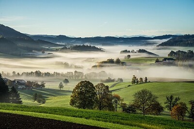 Nature
